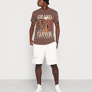 Abercrombie & Fitch Grand Canyon Park Graphic Tee